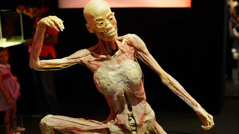 Exposición: The Human Bodies en Bilbao