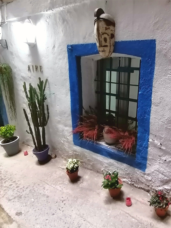 Callejon-Zollo-ventana-plantas-detalles-artesania-bilbao